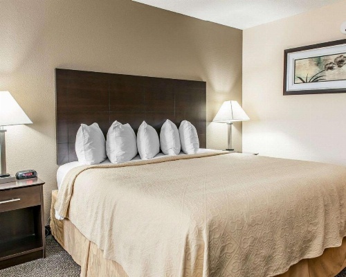Quality Inn & Suites - Mattoon image 28