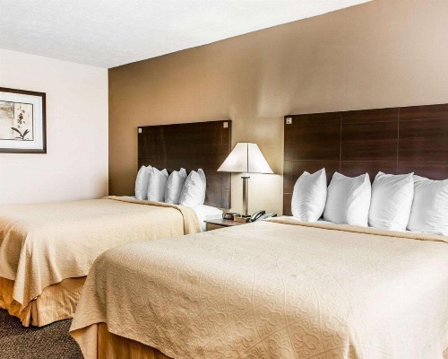 Quality Inn & Suites - Mattoon image 8